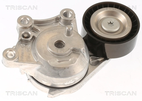 8641103055 Triscan