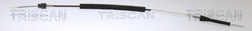 814029723 Triscan