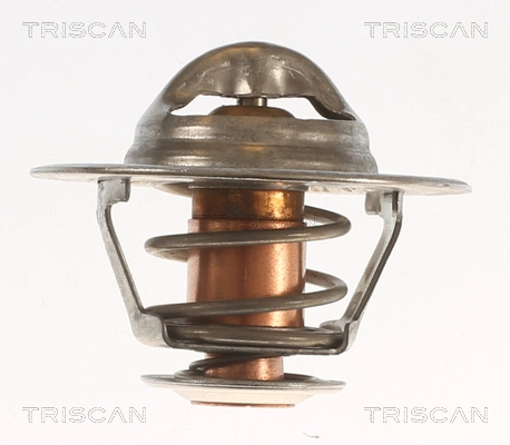 Termostato de agua para Alfa Romeo 33  905