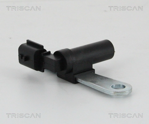 885525124 Triscan