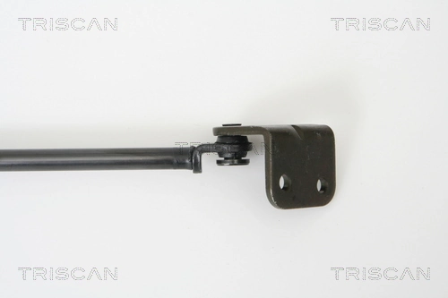 Amortiguador de maletero Hyundai Terracan SUV (HP) (2001 - 2006) precio, desde 31,17 EUR