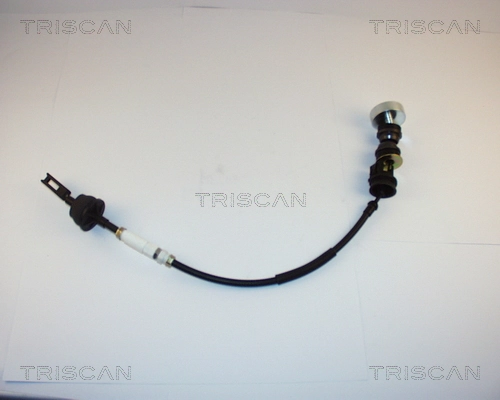 814028243 Triscan