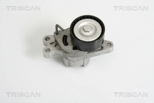 8641283004 Triscan