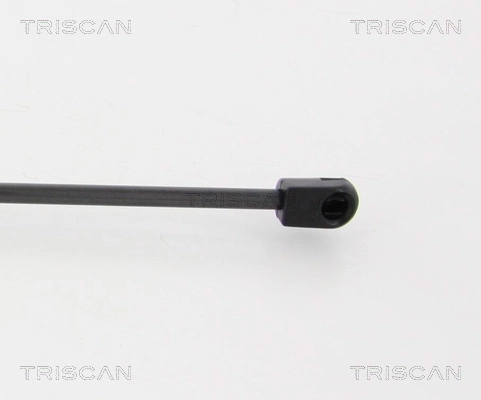Amortiguador de porton para Renault Megane III KZ0, KZ1