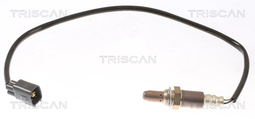 884513079 Triscan