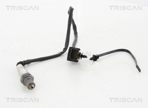 884514525 Triscan