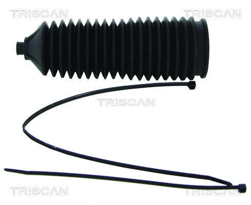 850010019 Triscan