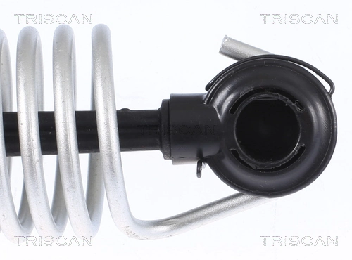 Comprar Amortiguador maletero BMW 5  F10