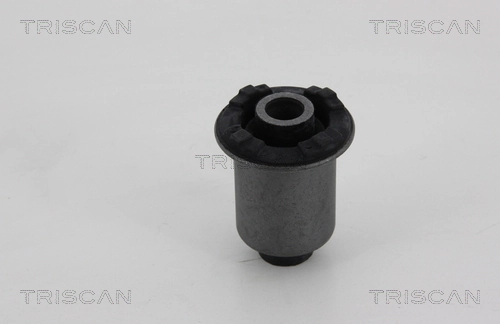 Silentblock de brazo de suspensión Nissan Cabstar NT400 plataforma a bordo (F24M) (2006 - 2013) precio, desde 9,41 EUR