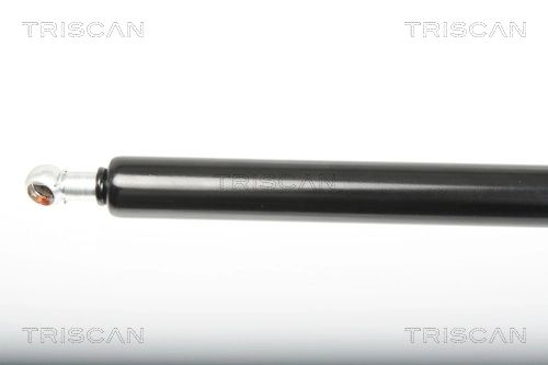 871025246 Triscan