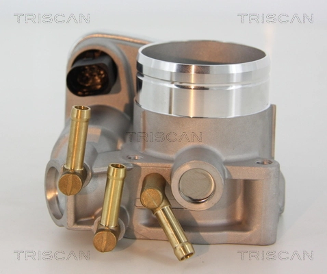 Cuerpo de aceleración completo Triscan 882029003 precio, desde 93,71 EUR