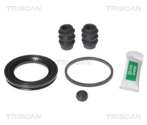 8170205463 Triscan