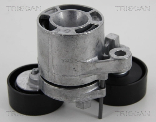 Tensor de la correa trapecial poli v BMW X3 