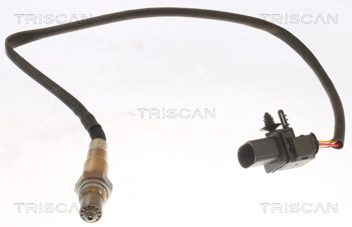 884511084 Triscan