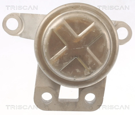 850510108 Triscan