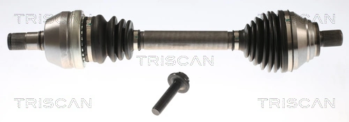 8540296089 Triscan
