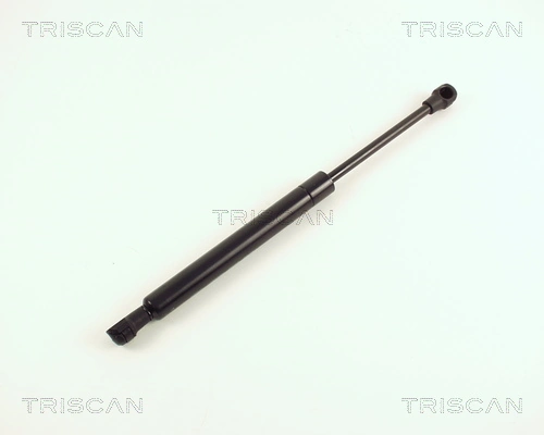 871016231 Triscan
