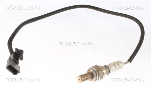 884525057 Triscan