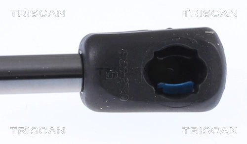Muelle neumático, tapa delantera Audi Q5 SUV (FYB, FYG) (2016 - 2026) precio, desde 18,76 EUR