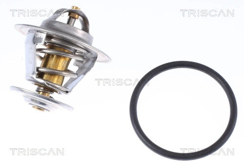 Termostato de agua Audi 100  (1990-1994)