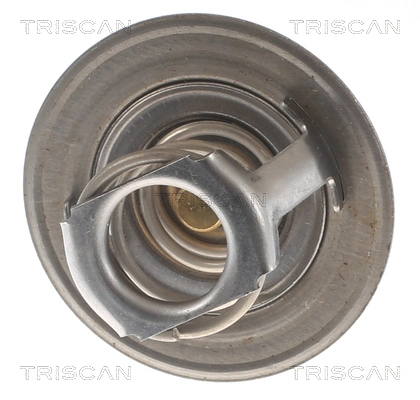  Termostato Renault Clio 1