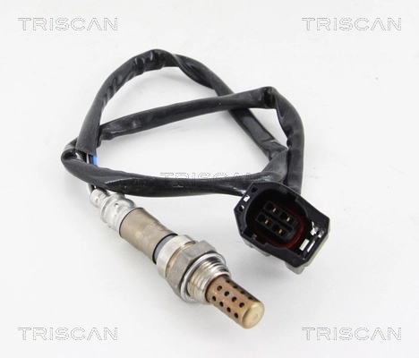 884550008 Triscan