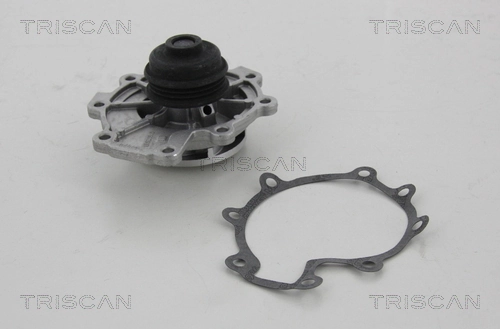 860016014 Triscan