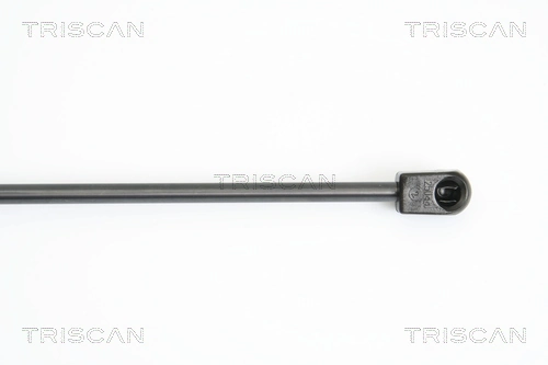 Amortiguador de maletero Triscan 871016249 precio, desde 12,47 EUR