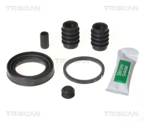 8170203855 Triscan