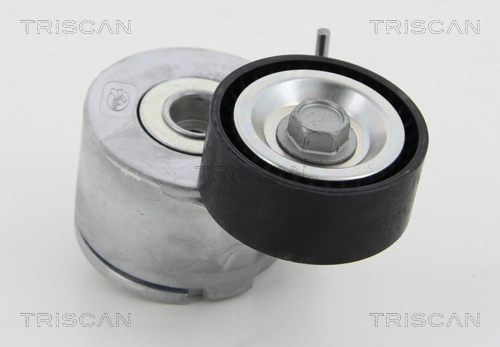 8641283006 Triscan