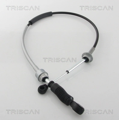 814028716 Triscan