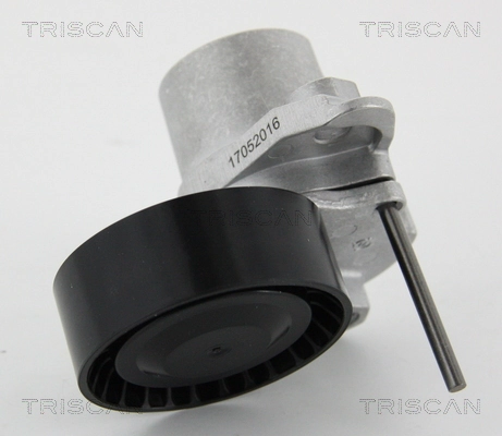 8641293052 Triscan
