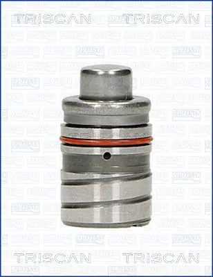 8050000 Triscan