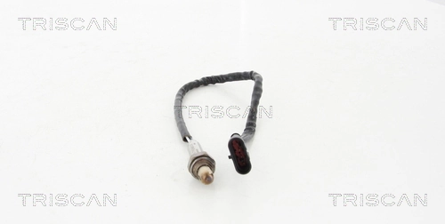 884512095 Triscan