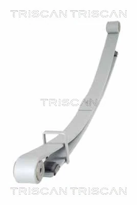 876510011 Triscan