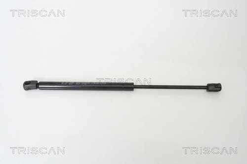 871021205 Triscan
