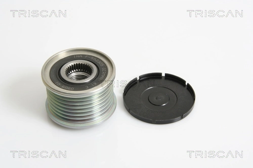 Comprar Polea alternador Renault Master III FV