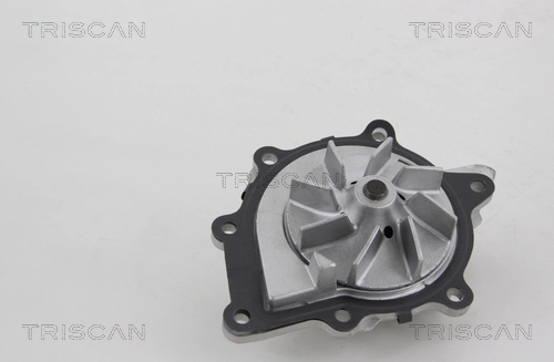 Comprar F242 Dolz Bomba de agua para motor