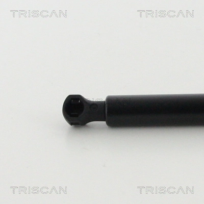 Muelle de capó  para Audi A8 D3 4E2, 4E8