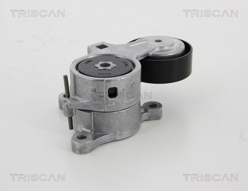 8641283008 Triscan