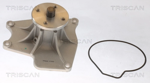 860042024 Triscan