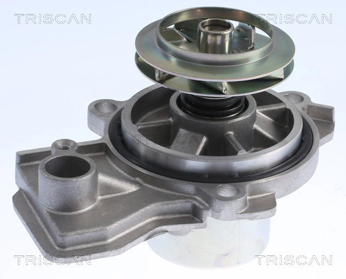 860029084 Triscan