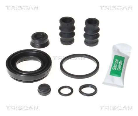 8170203845 Triscan