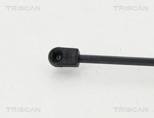 Amortiguador de porton para BMW X3  F25