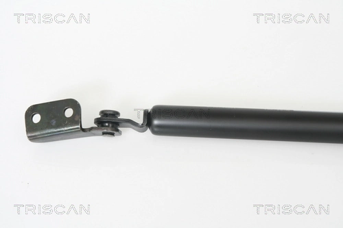 Amortiguador de porton para Hyundai Terracan  HP