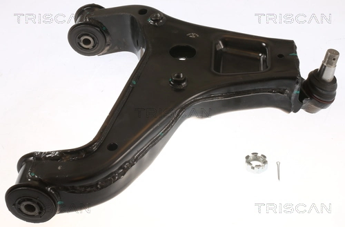 8500435079 Triscan