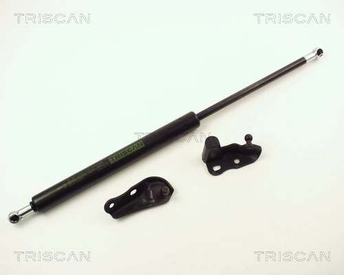 871013264 Triscan
