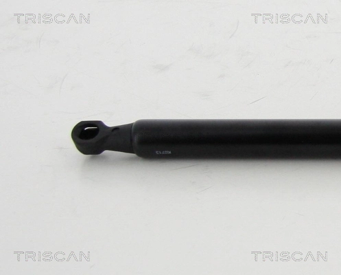 Muelle neumatico maletero Renault Megane III