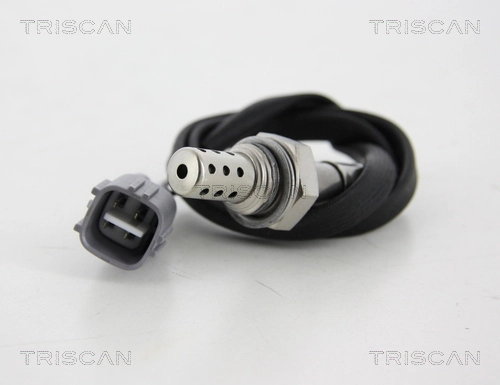 884513081 Triscan
