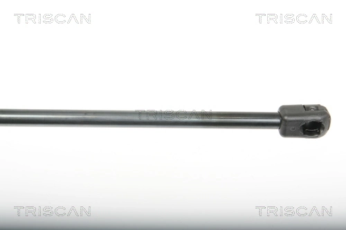 Comprar Amortiguador de puerta trasera Megane III BZ0, BZ1, B3